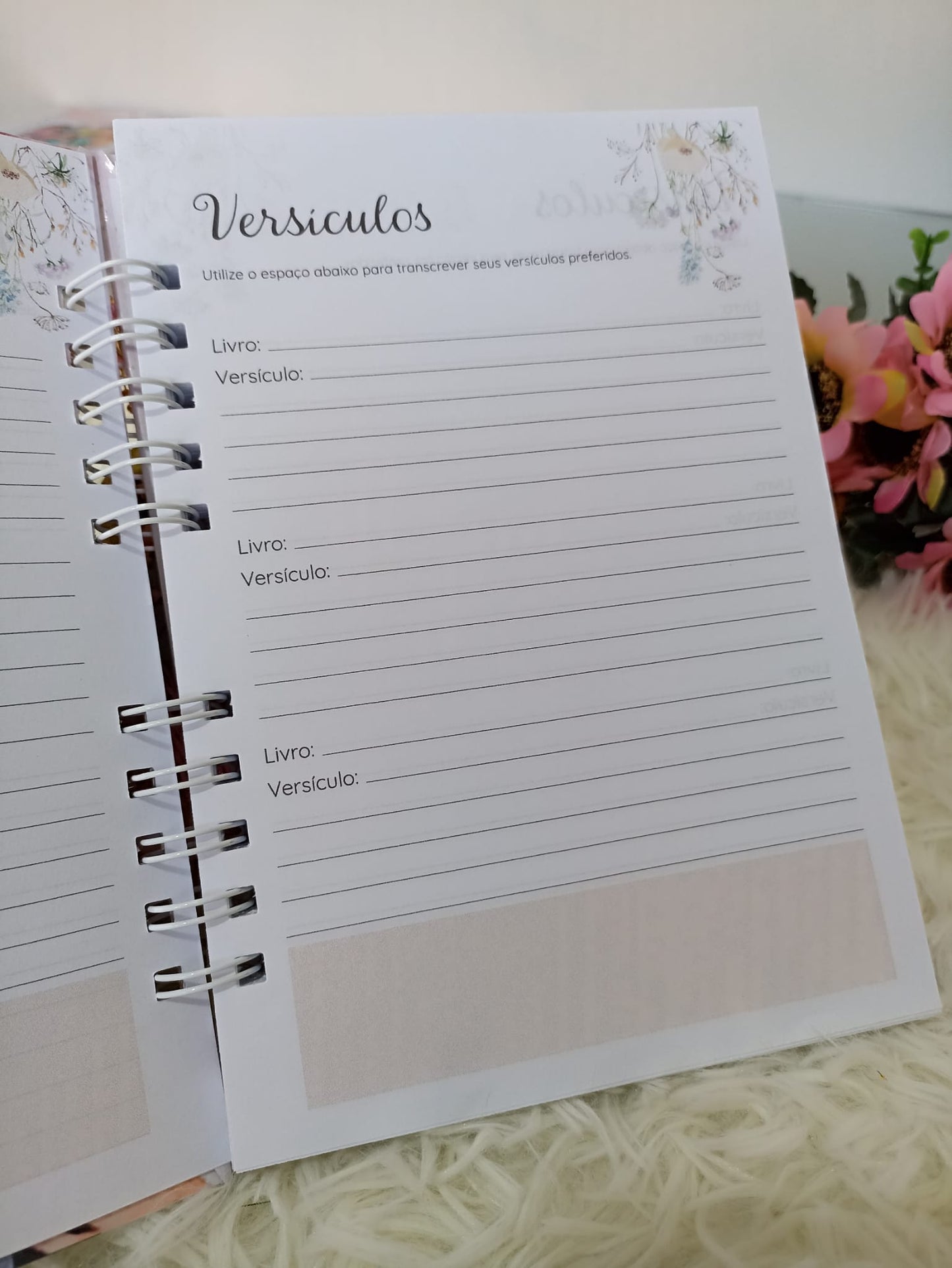 Caderno Devocional Feminino
