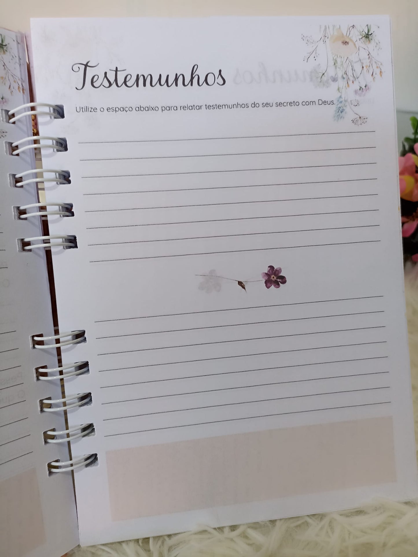 Caderno Devocional Feminino