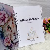 Bíblia Grande com Letras Médias|Grandes
